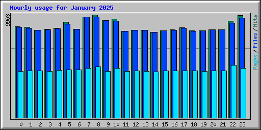 Hourly usage for January 2025